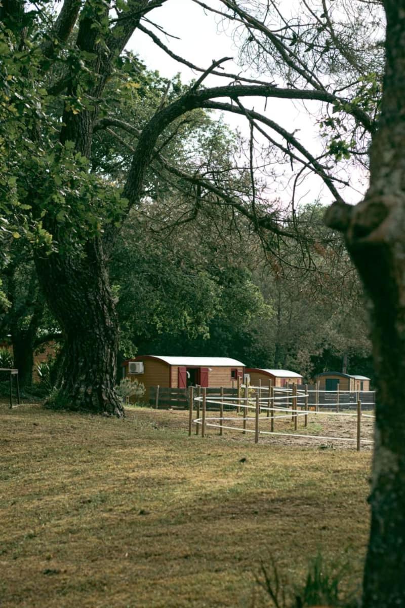 فندق Roulottes Cocooning Au Coeur Des Landes Mées المظهر الخارجي الصورة