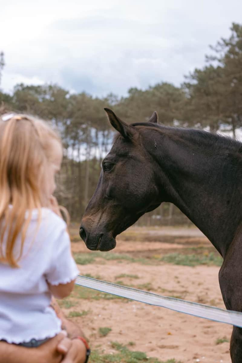 فندق Roulottes Cocooning Au Coeur Des Landes Mées المظهر الخارجي الصورة