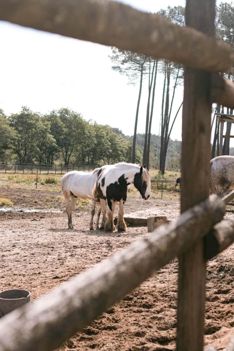 فندق Roulottes Cocooning Au Coeur Des Landes Mées المظهر الخارجي الصورة