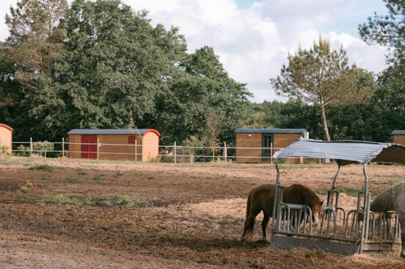 فندق Roulottes Cocooning Au Coeur Des Landes Mées المظهر الخارجي الصورة